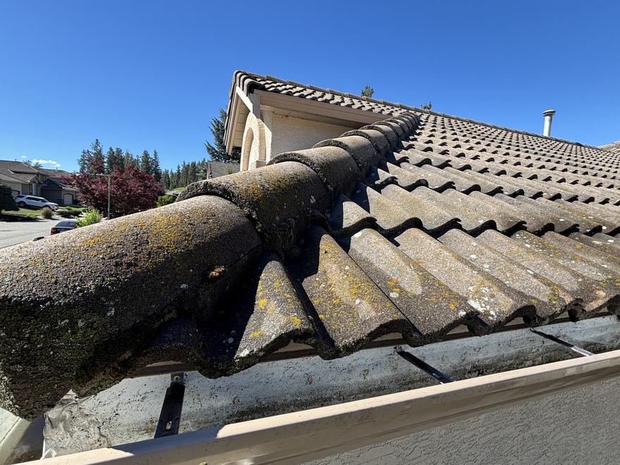 Tile roof covered in moss and lichen before cleaning